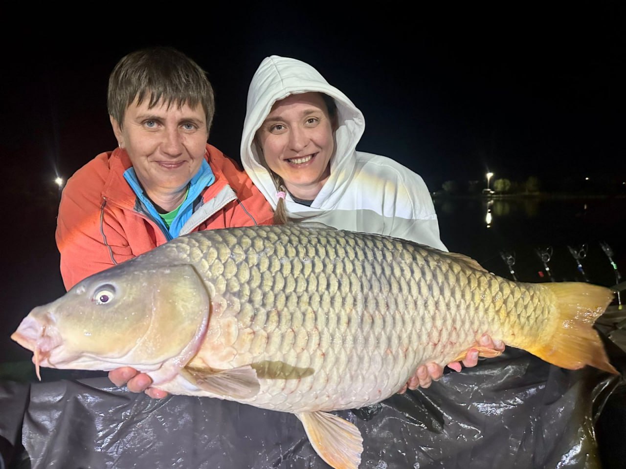 Фото из чата